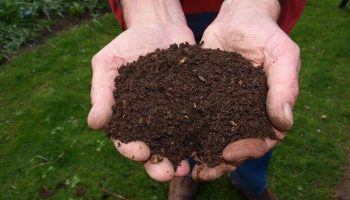What is composting | Methods of Composting