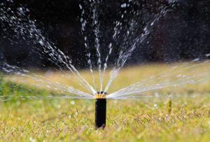 sprinkler irrigation system