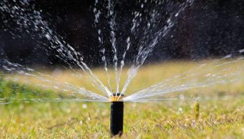 Advantages and Disadvantages of Sprinkler irrigation